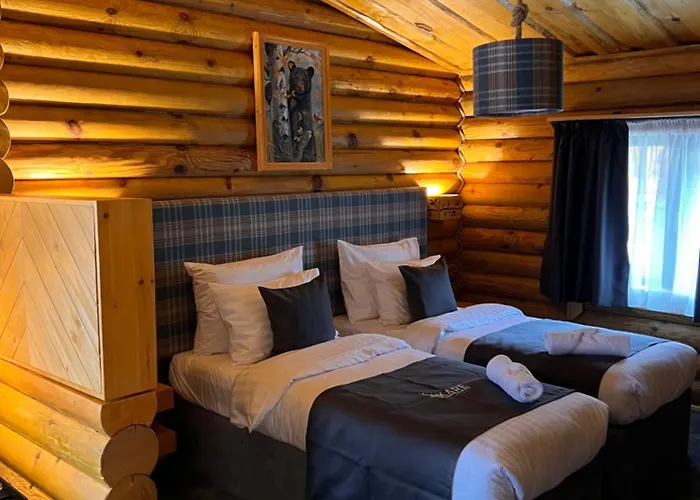 Kare Luxury تسيغوف تشارك