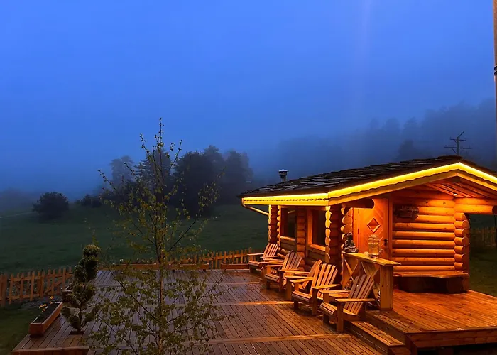 Kare Luxury تسيغوف تشارك